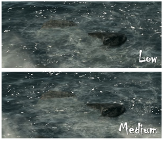 Illustration for article titled Here's Skyrim on "Max" Settings